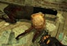 Half-Life