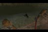 Half-Life